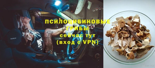 ПСИЛОЦИБИНОВЫЕ ГРИБЫ Беломорск