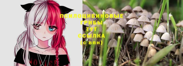 марихуана Белокуриха