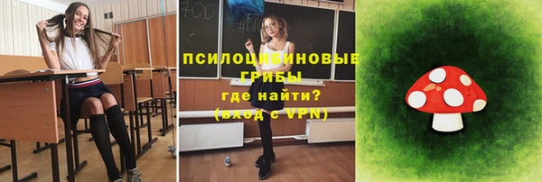 ПСИЛОЦИБИНОВЫЕ ГРИБЫ Беломорск